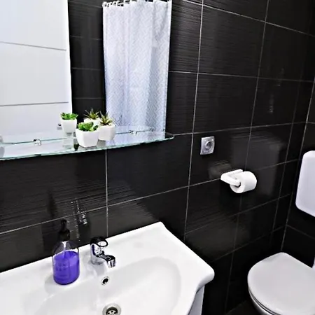 Primus Strbic 公寓 *