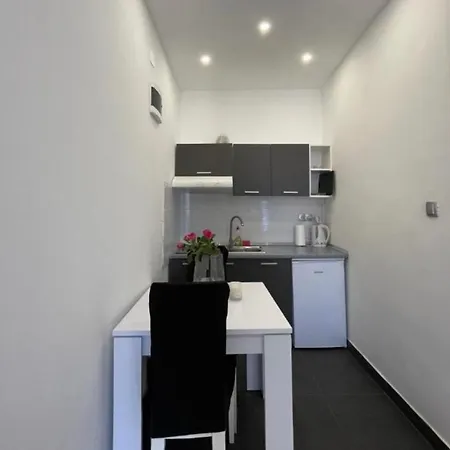 Primus Strbic 普洛切