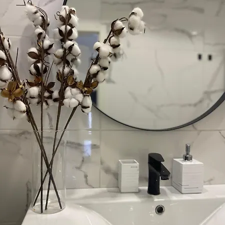 Primus Strbic 普洛切